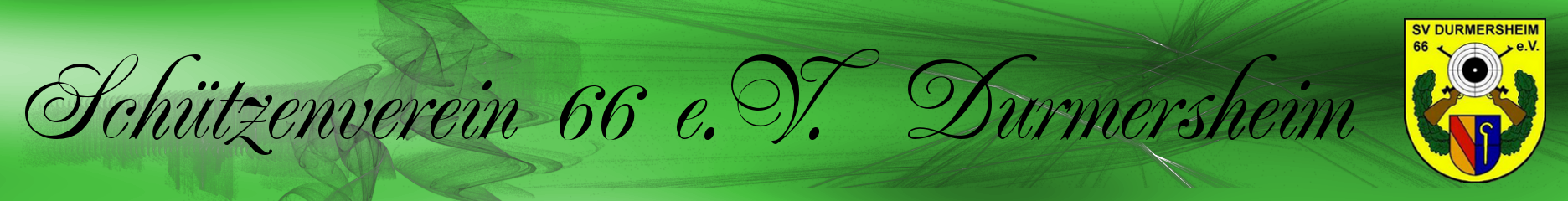 Banner SV66 ev